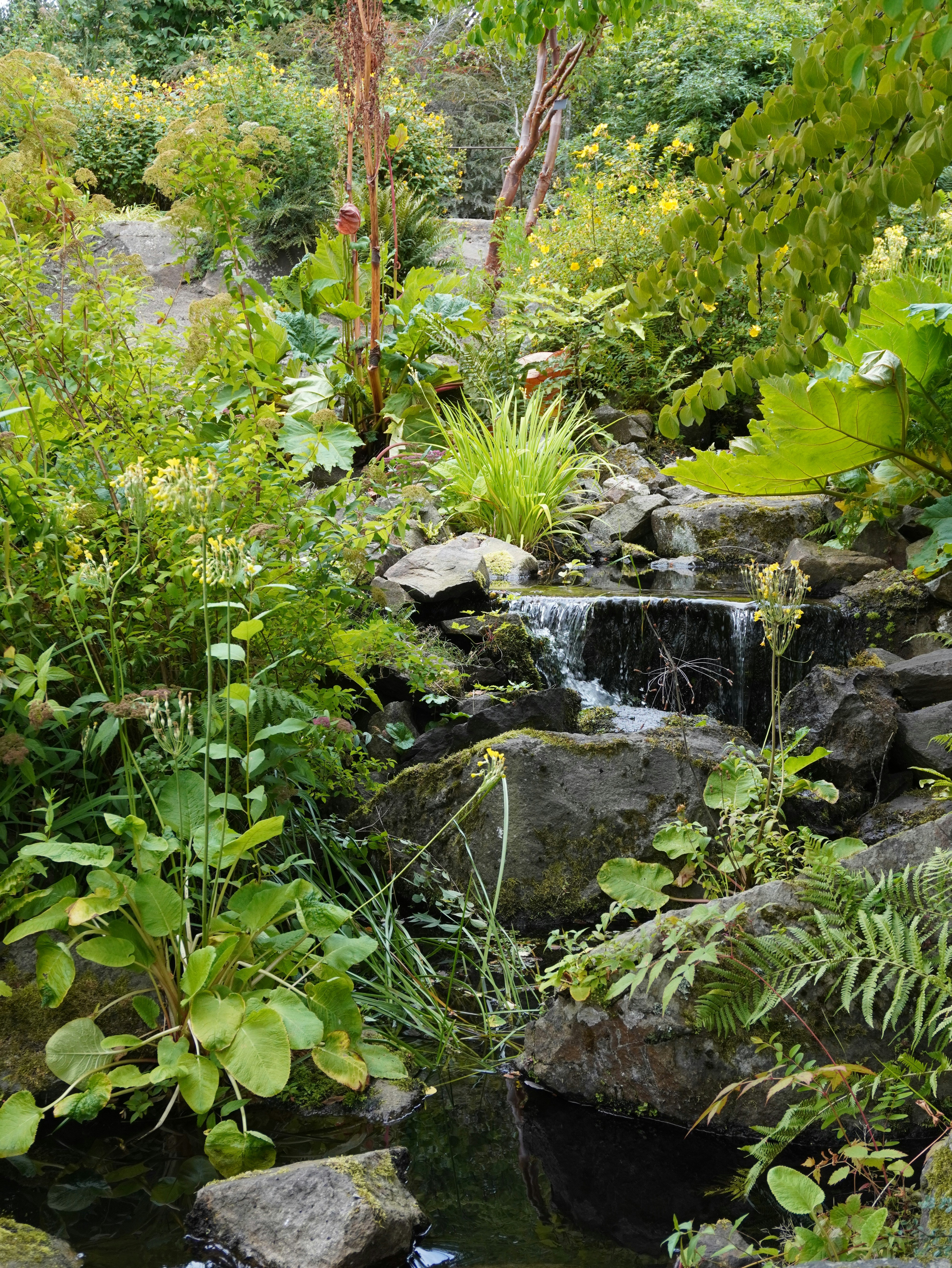 Environmental landscape representing responsible land management